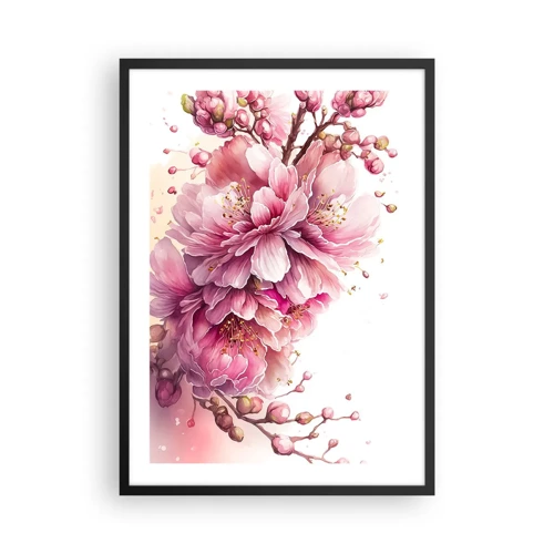 Plakat w czarnej ramie - Kwiat kwitnącej wiśni - 50x70 cm