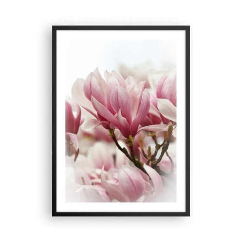 Plakat w czarnej ramie - Kwiaty wiosny - 50x70 cm